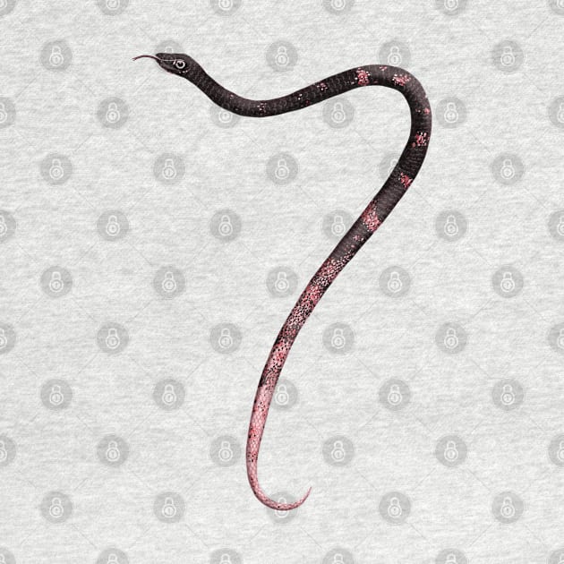 7 - Sonoran coachwhip snake by miim-ilustra